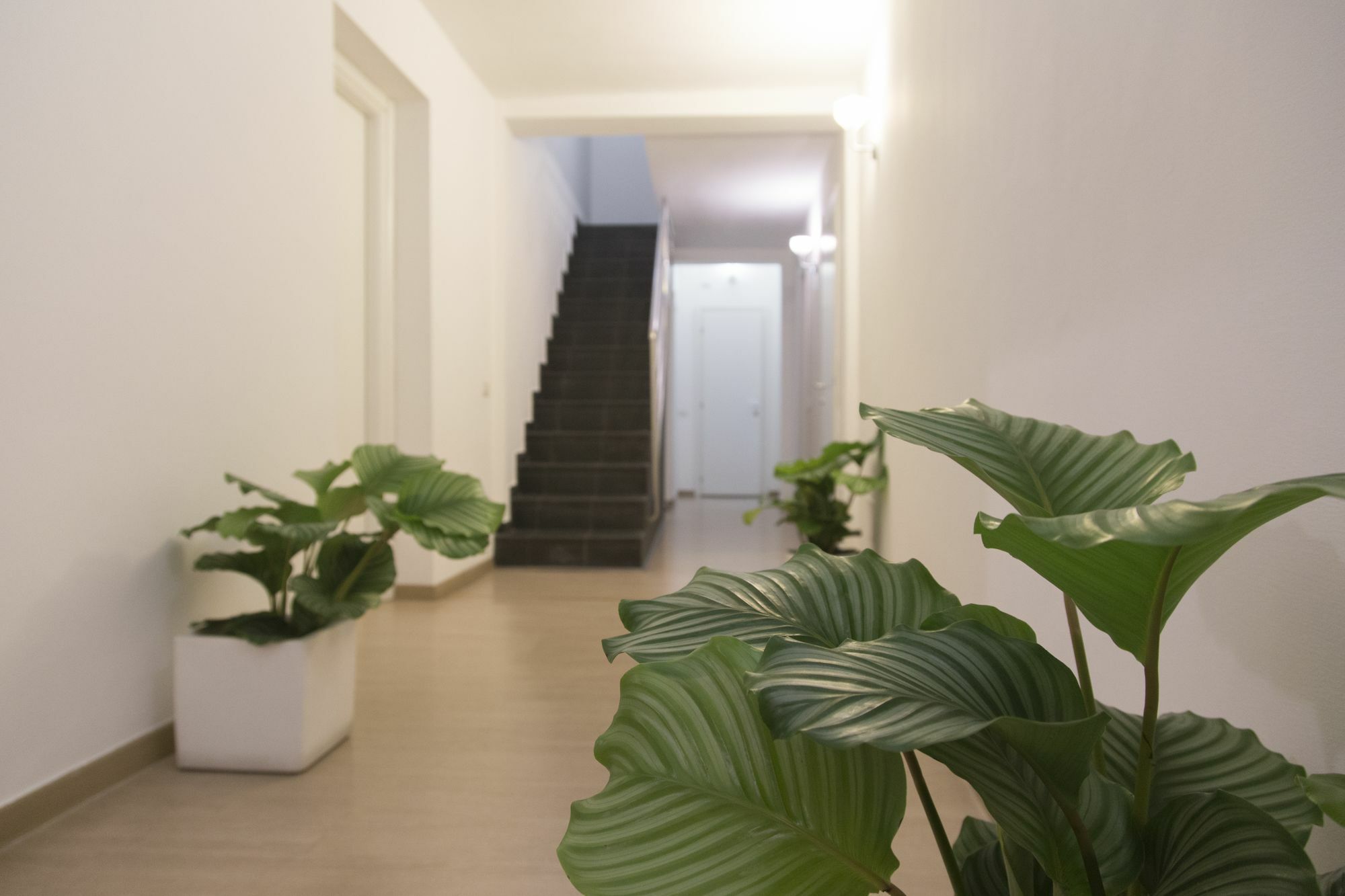 Suite Inn Catania Esterno foto